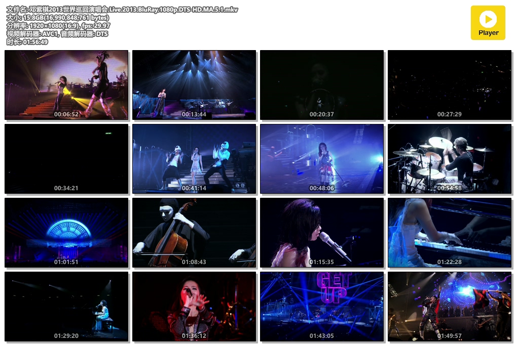 邓紫棋2013世界巡回演唱会.Live.2013.BluRay.1080p.DTS-HD.MA.5.1.mkv