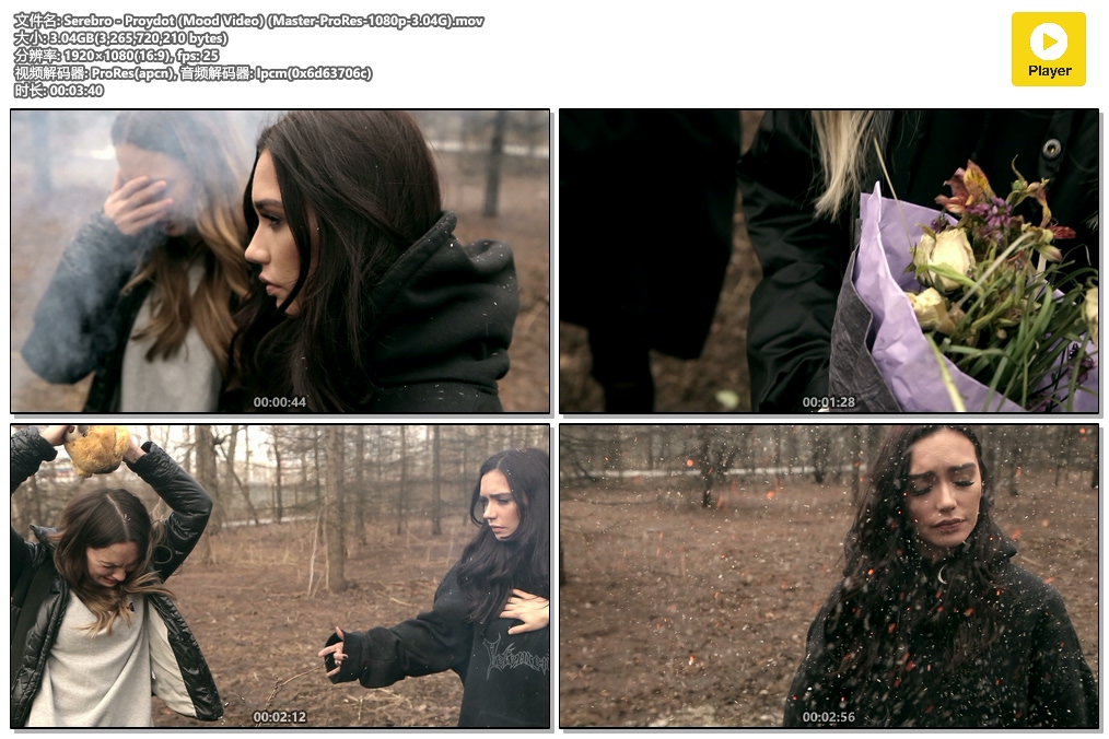 Serebro - Proydot (Mood Video) (Master-ProRes-1080p-3.04G).mov